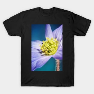 Spring Blues T-Shirt